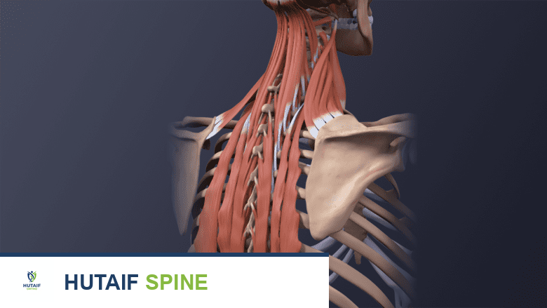 تدليك الرقبة المزمنة: حل شامل لتصلب الرقبة المستمر وآلامها