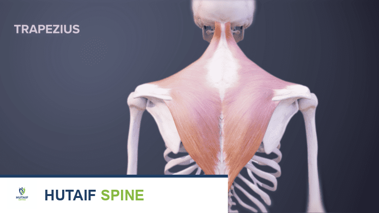 آلام الرقبة وصداع التوتر: دليل شامل للتشخيص والعلاج مع الأستاذ الدكتور محمد هطيف في صنعاء