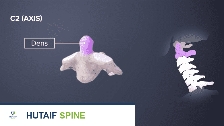 متلازمة السن المتوج: الأسباب والأعراض والعلاج مع الأستاذ الدكتور محمد هطيف في صنعاء