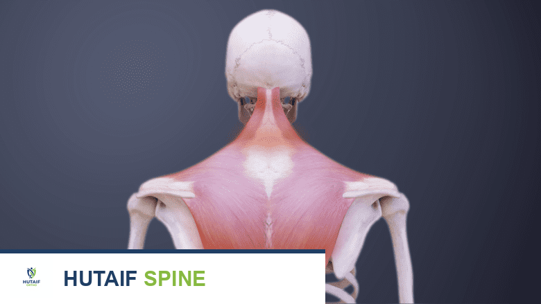 ألم الرقبة وداء لايم: دليل شامل للمرضى في اليمن مع الأستاذ الدكتور محمد هطيف