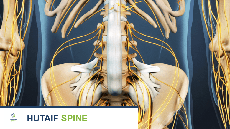 العلاج بالتكثير (البرولوبثيرابي) وآلام الظهر المزمنة دليل شامل للمرضى