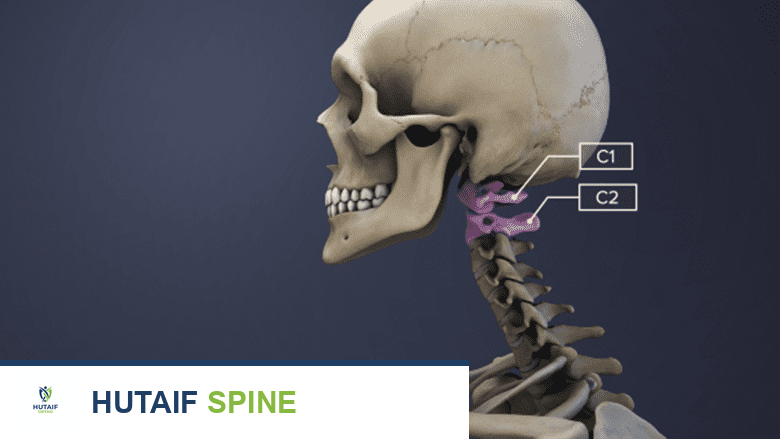 الفقرات العنقية C1-C2: الأطلس والمحور - دليلك الشامل لصحة الرقبة