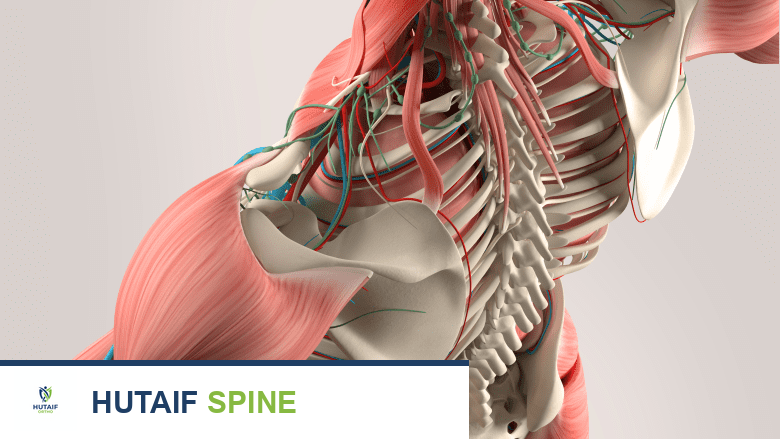 طبيب العلاج الطبيعي والتأهيل: دليلك الشامل لاستعادة الحركة وتخفيف الألم