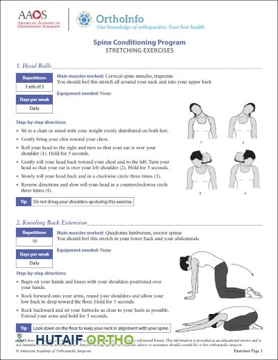 تمارين إعادة تأهيل العمود الفقري تمارين إعادة تأهيل العمود الفقري