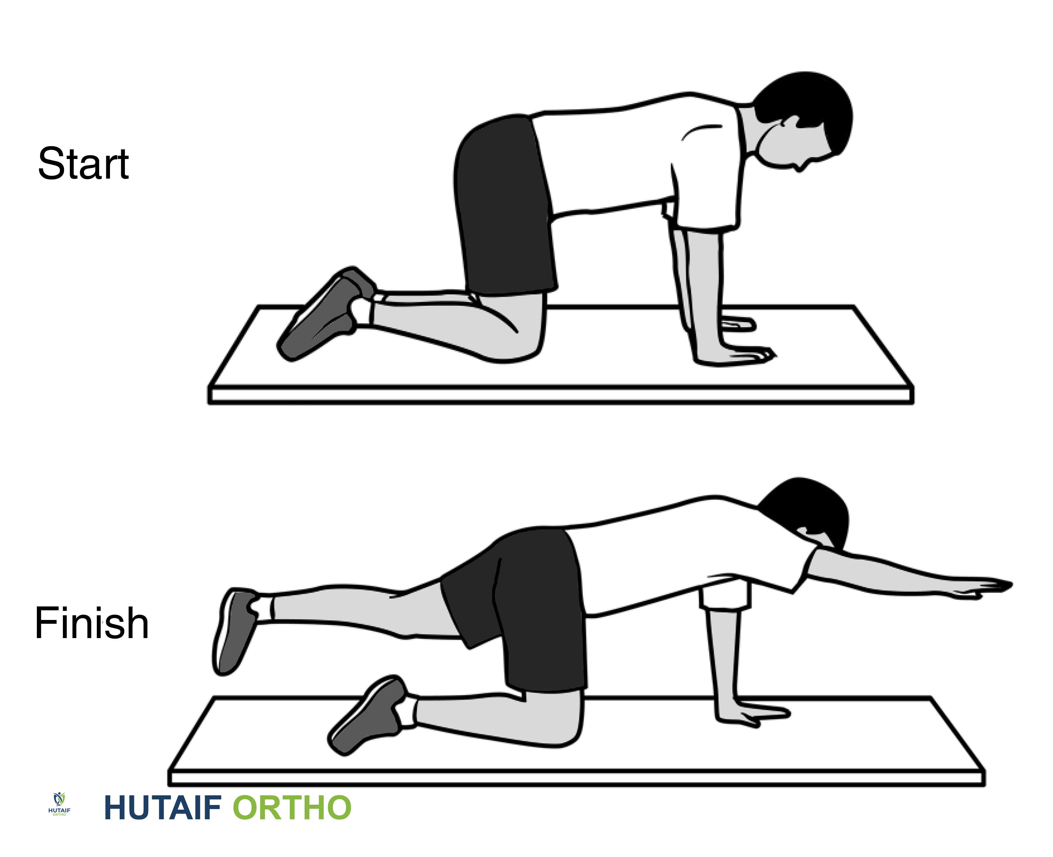 تمرين الكلب الطائر