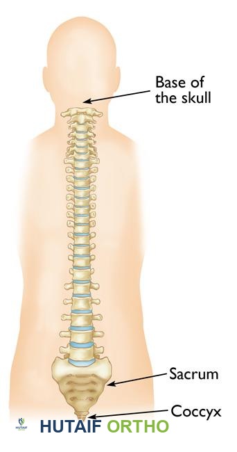 الورم الحبلي (Chordoma): دليل شامل للمرضى مع الأستاذ الدكتور محمد هطيف في صنعاء