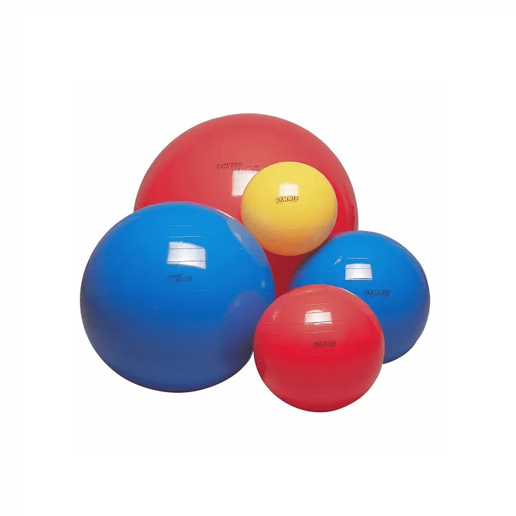 Physio Ball (Swiss Ball)