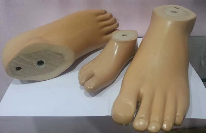 Solid Ankle Cushion Heel (SACH) Foot