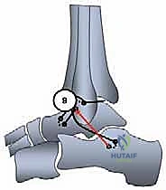 Clinical Image