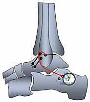 Clinical Image