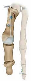 Clinical Image