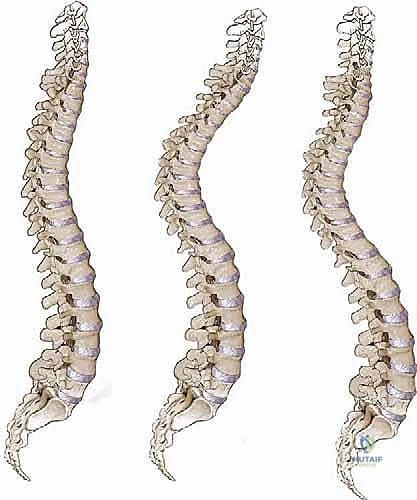 Illustration of include the following - Dr. Mohammed Hutaif