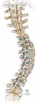 Clinical Image