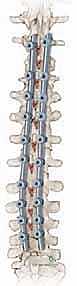 Clinical Image