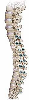 Clinical Image