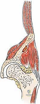 Clinical Image