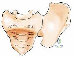Clinical Image