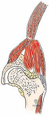Clinical Image