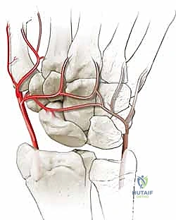 استعادة حركة الرسغ بعد الجراحة