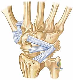 Clinical Image