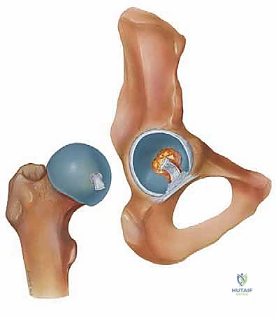 وصف طبي دقيق للمريض والتشريح العياني