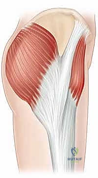Clinical Image