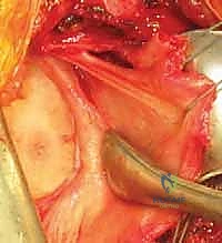 الرعاية الطبية المتميزة في عيادة البروفيسور هطيف