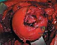 الأستاذ الدكتور محمد هطيف يراجع صور الأشعة