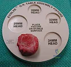 Clinical Image