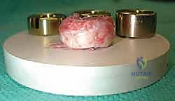 Clinical Image