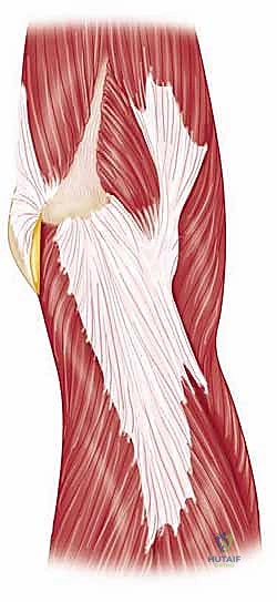 Clinical Image