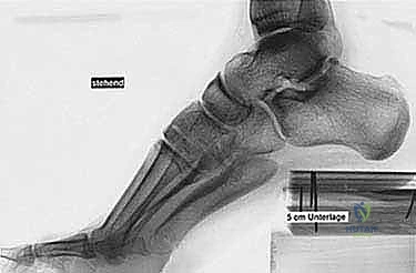 Clinical Image