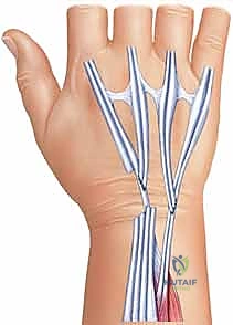 استخدام التقنيات الحديثة في جراحة اليد