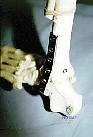 TECH FIG 6 continued BD