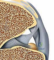 تشخيص آلام مؤخرة القدم