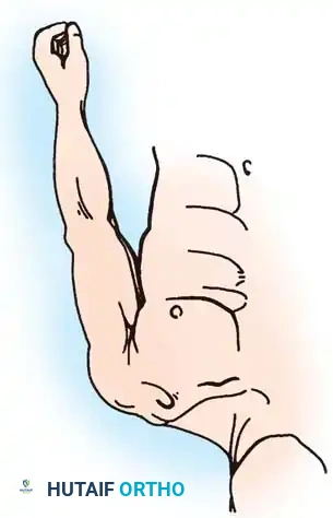 ACROMIOCLAVICULAR JOINT Surgical Diagram
