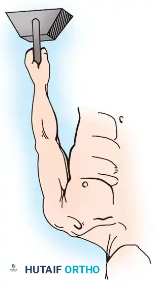 ACROMIOCLAVICULAR JOINT Surgical Diagram