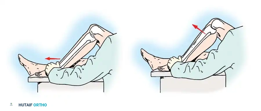 Hutaifortho's Orthopaedic Diagram