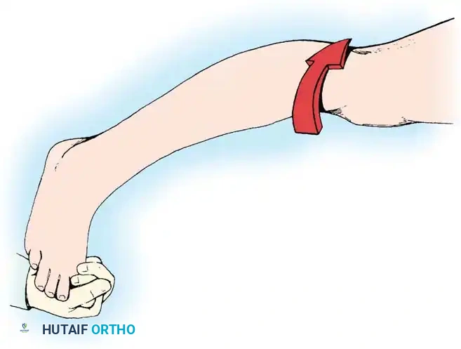 Hutaifortho's Orthopaedic Diagram