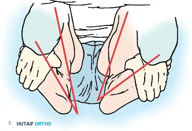 Hutaifortho's Orthopaedic Diagram