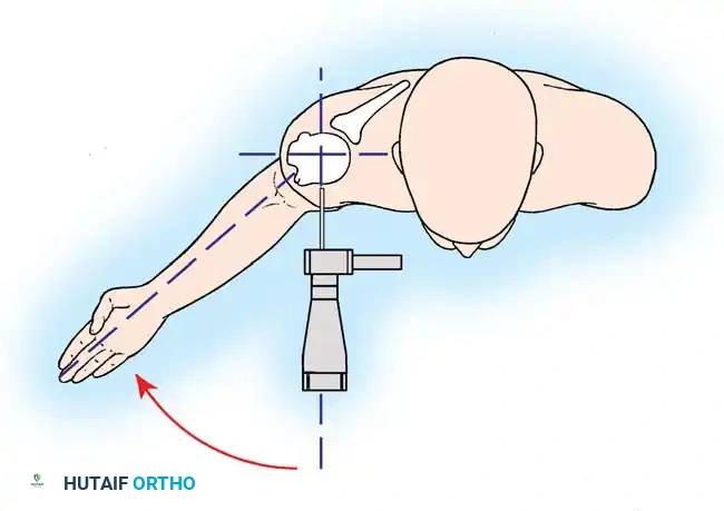 Hutaifortho's Orthopaedic Diagram
