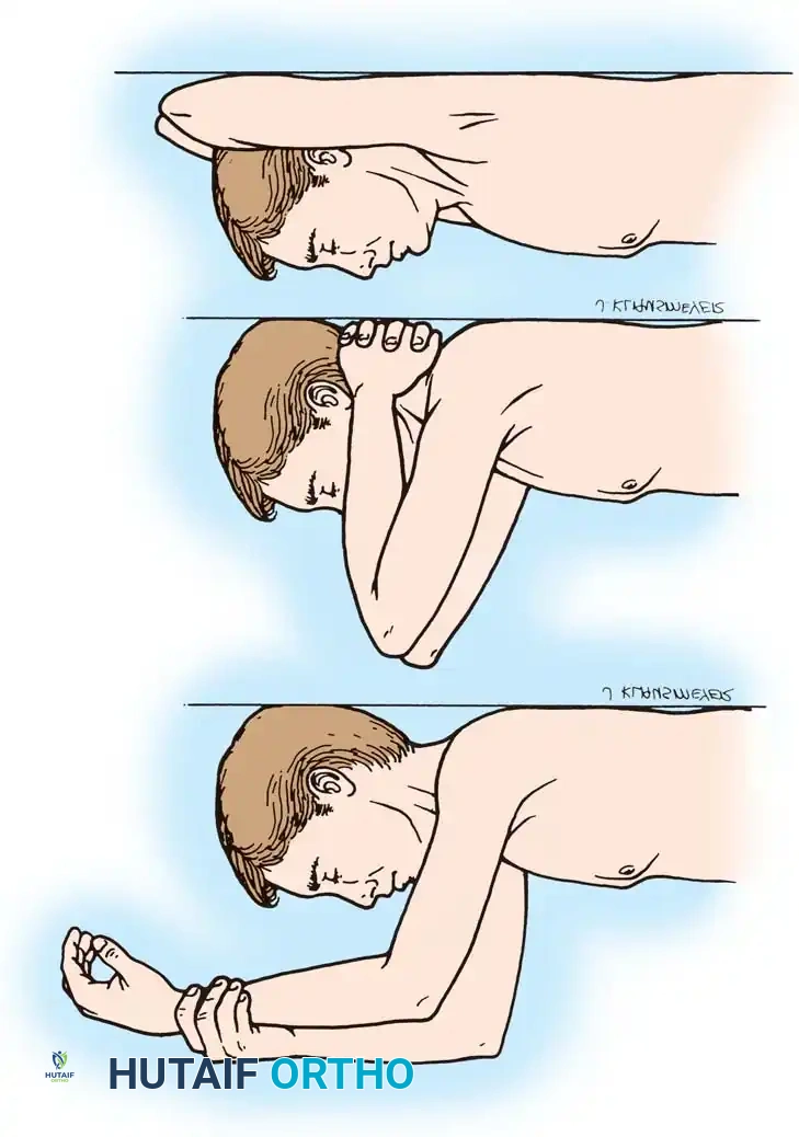 Hutaifortho's Orthopaedic Diagram