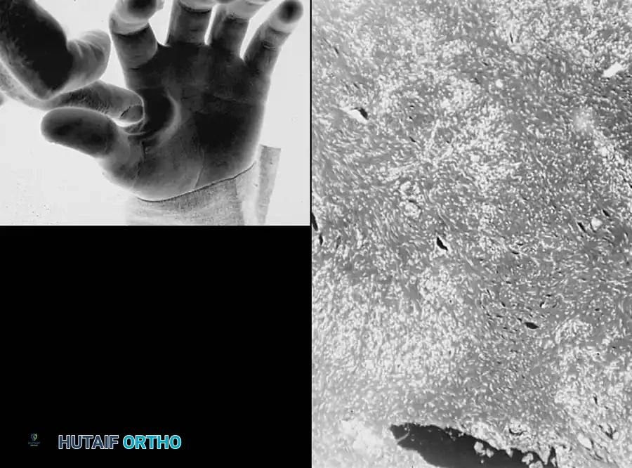 Hutaifortho's Orthopaedic Diagram