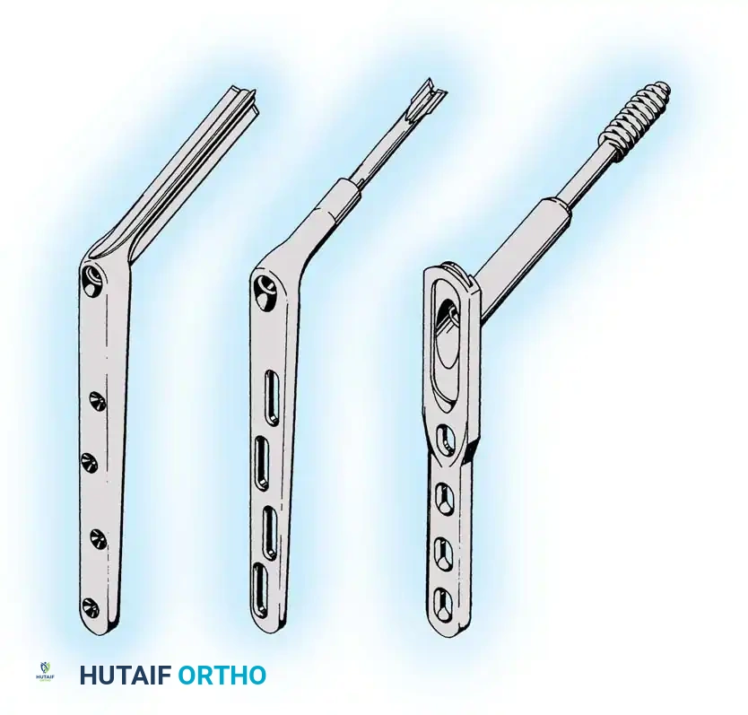 Hutaifortho's Orthopaedic Diagram