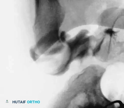 Hutaifortho's Orthopaedic Diagram