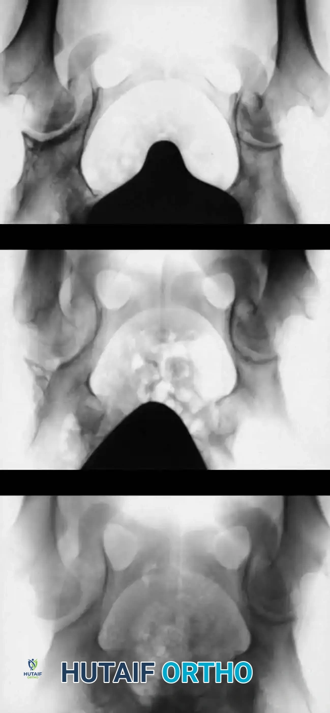 Hutaifortho's Orthopaedic Diagram