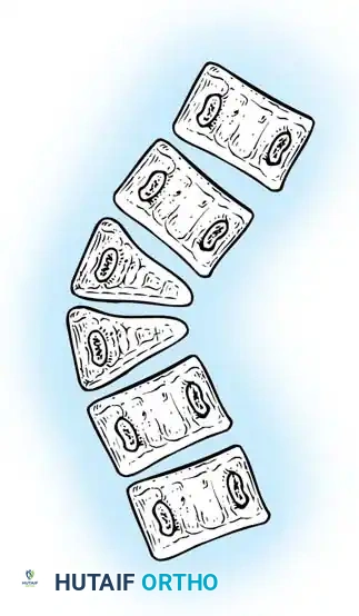Hutaifortho's Orthopaedic Diagram