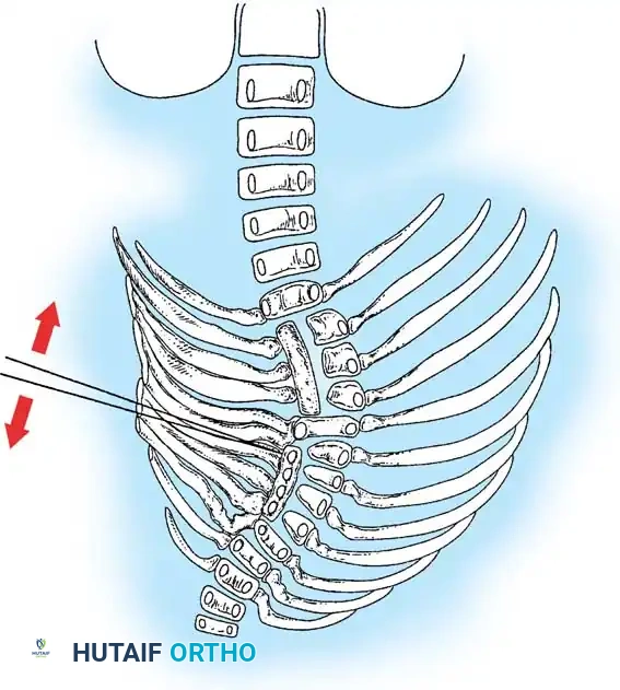 Hutaifortho's Orthopaedic Diagram