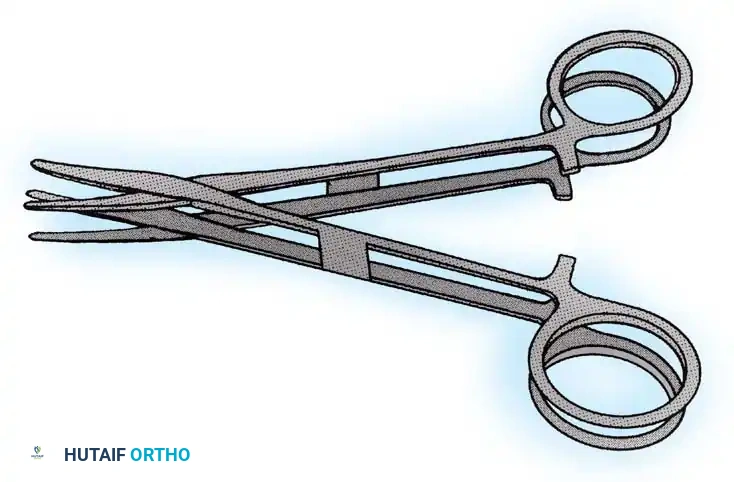 Fig. 32-3 Two hemostats bound together to preserve length when securing muscle biopsy. (From Cruess RL, Rennie WRJ: Adult orthopaedics, New York, 1984, Churchill Livingstone.)