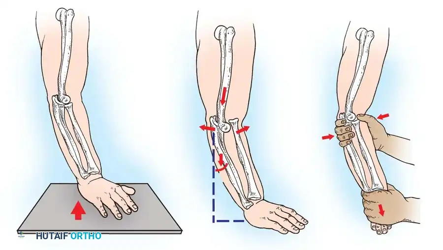 Hutaifortho's Orthopaedic Diagram